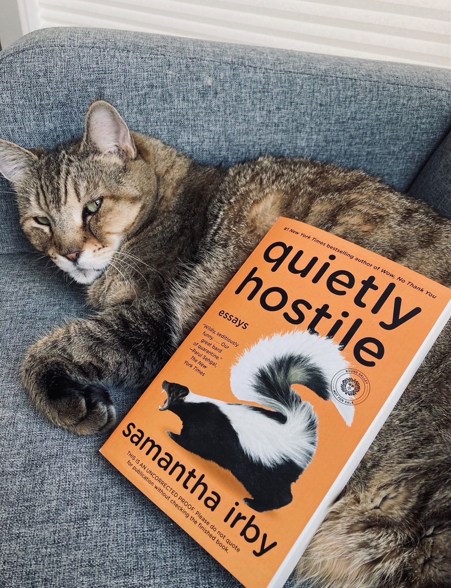 book review quietly hostile