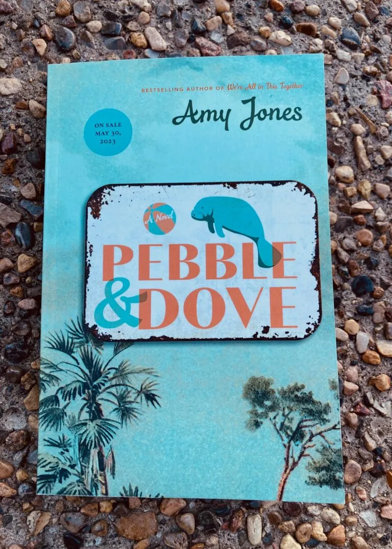 Pebble and Dove by Amy Jones book pictured on a pebble background