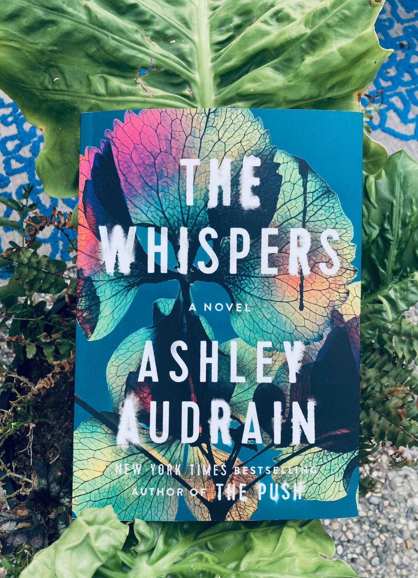 The Whispers by Ashley Audrain book pictured on green leaves