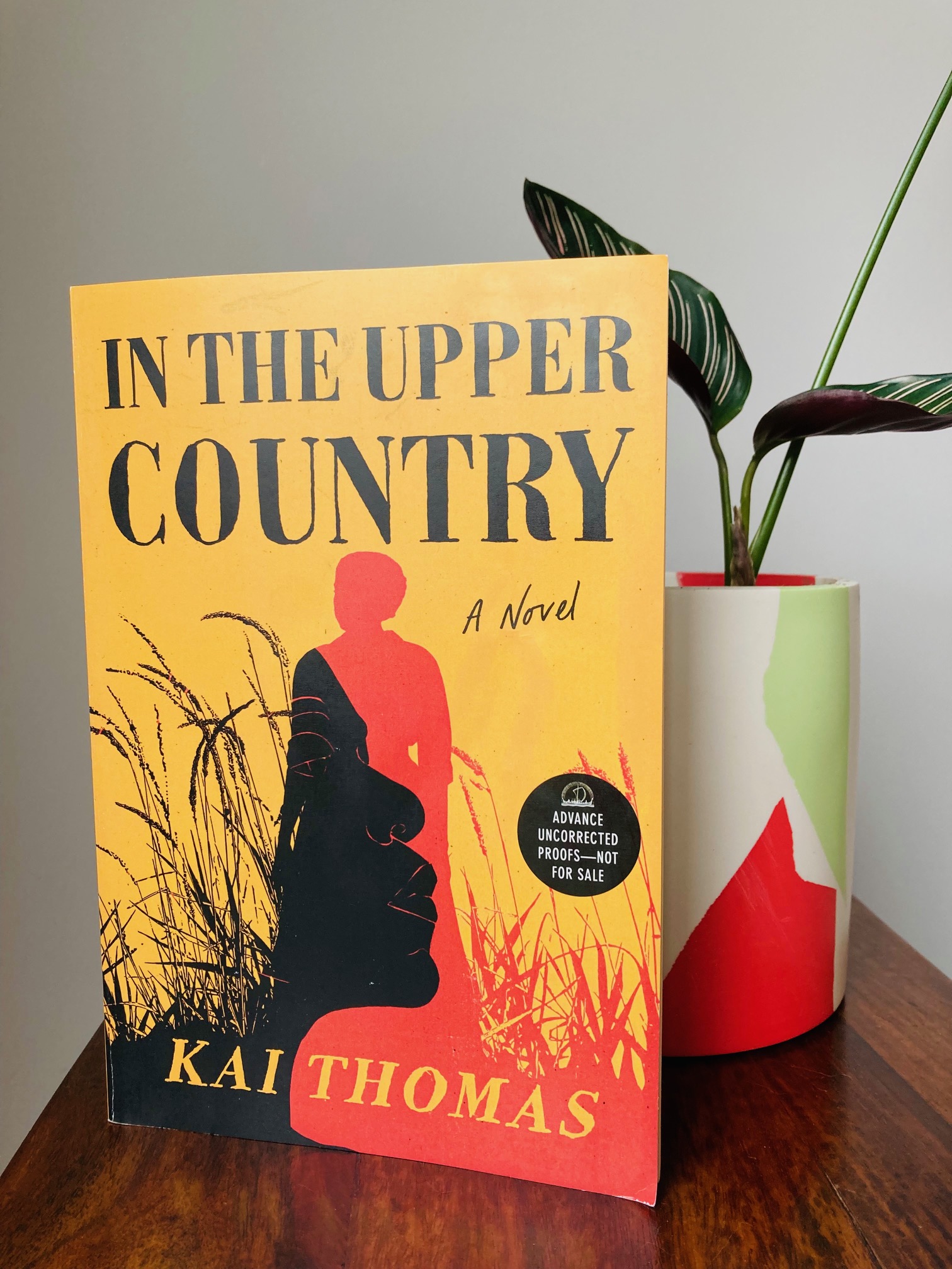 In the Upper Country by Kai Thomas book pictured beside a plant