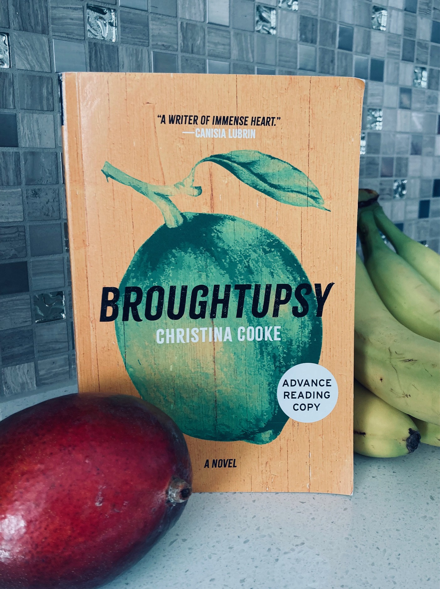 Broughtupsy by Christina Cooke book