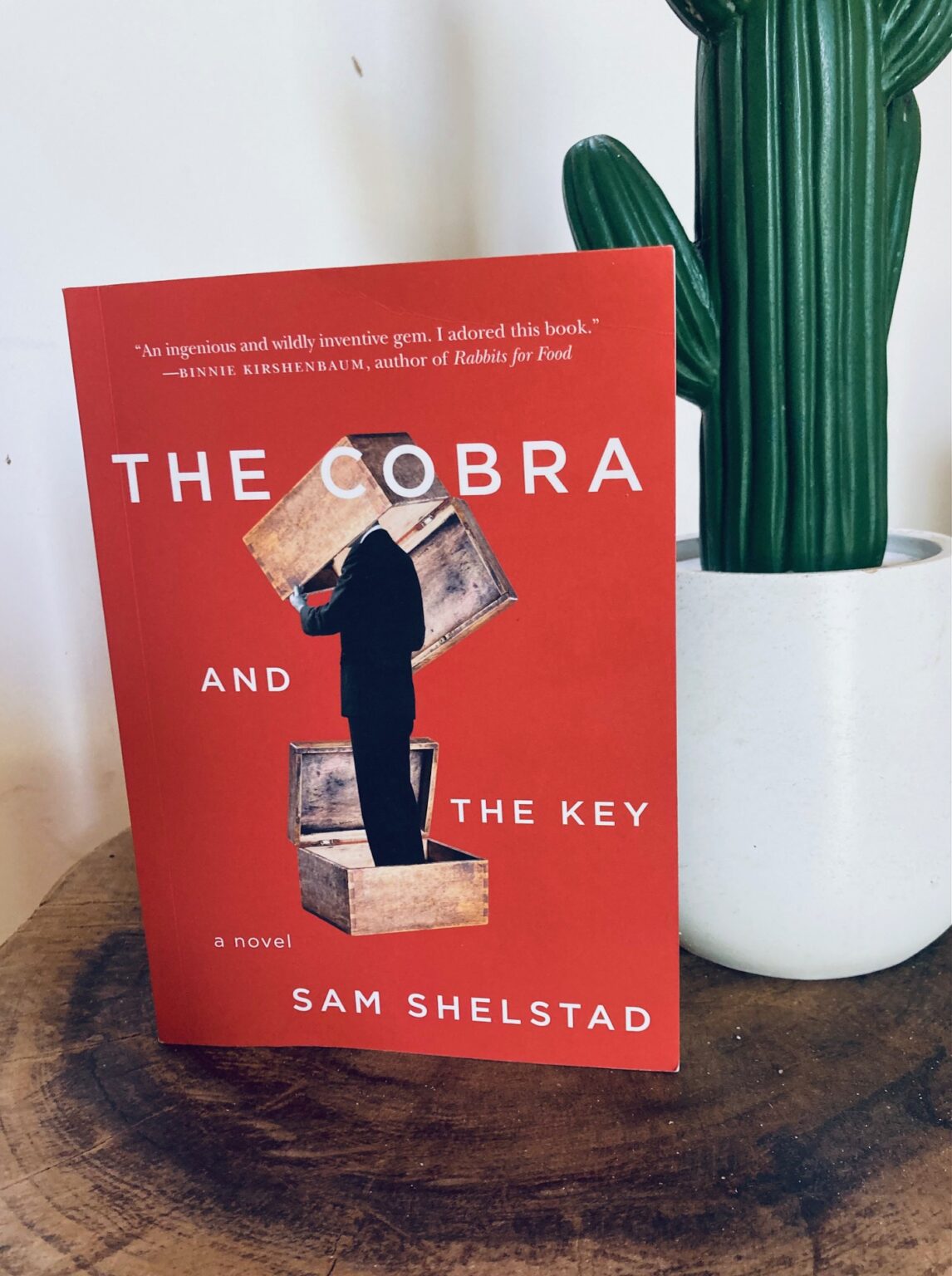 Book Review The Cobra and the Key by Sam Shelstad I've Read This