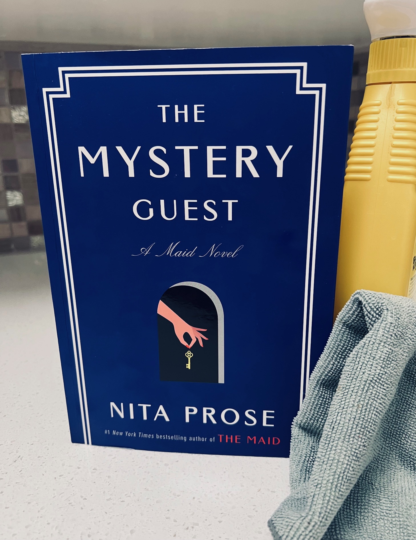 The Mystery Guest by Nita Prose book