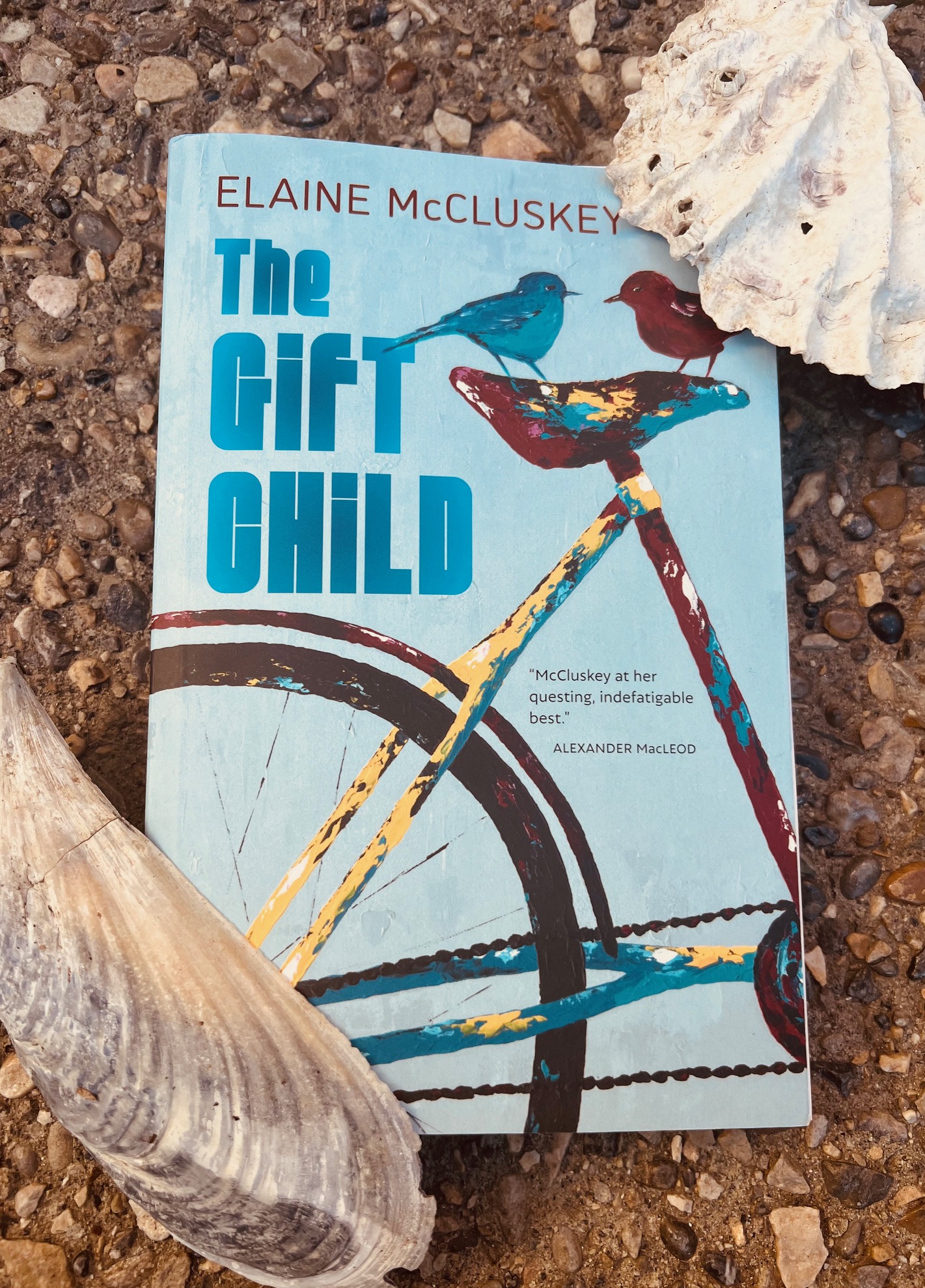 The Gift Child by Elaine McCluskey book