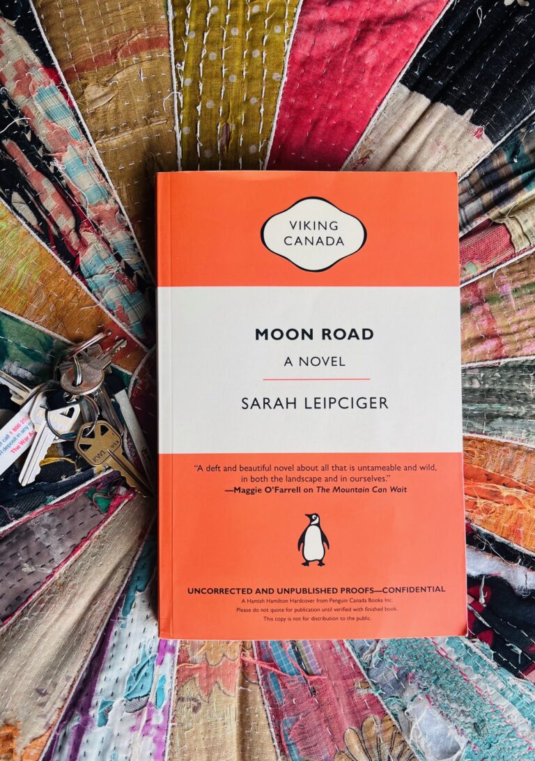 Moon Road by Sarah Leipciger