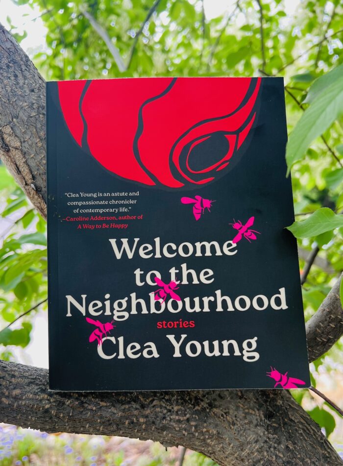 Welcome to the Neighbourhood by Clea Young book