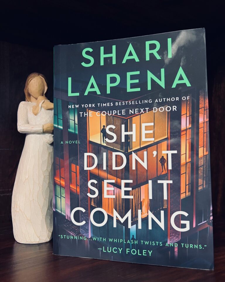 Book Review: She Didn’t See it Coming by Shari Lapena